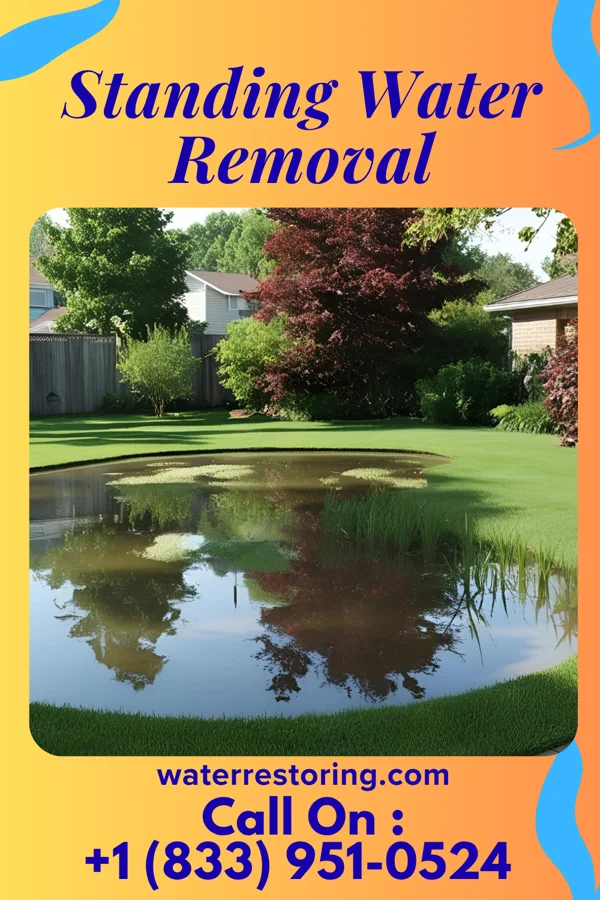 Standing Water Removal in Nacogdoches, TX